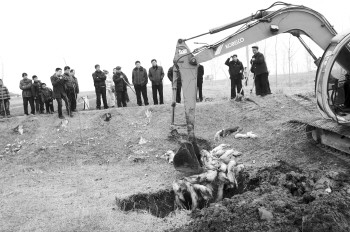 ɽ������һҰ�ⱻ����ʮͷ���������޺�������