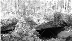 杭州余杭发现古墓葬群系商周时期典型石室土墩墓