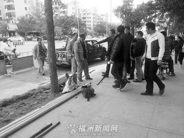 市政工人抢修路灯开挖绿化带被园林部门制止