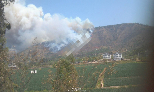西昌马道镇后山发生森林大火(图)