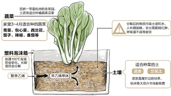 传泡沫塑料箱种菜会致癌专家:用一夏最好换掉