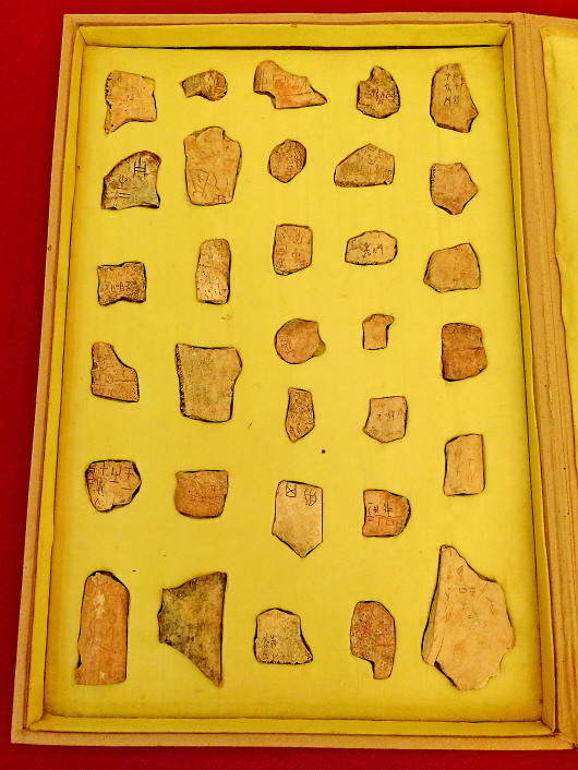 山东省博馆藏甲骨发现近10例新字形及两片人头卜骨