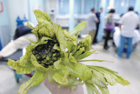 Ů�����βɵá���ɽѩ����������Ͳ��������ж�