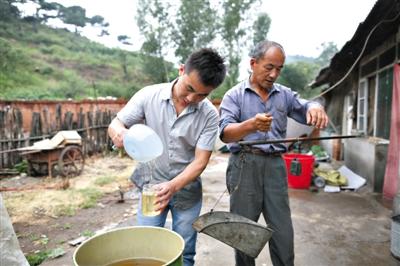 30岁油画专业学子当村官开网店帮村民致富(图)