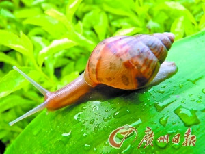 �㶫ʡ���أ������������ֶ��ᴫ����Բ�߳没