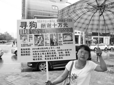 ����Ů�ӻ�60Ԫ������ﹷ��ʧ����10��Ѱ�ң�ͼ��