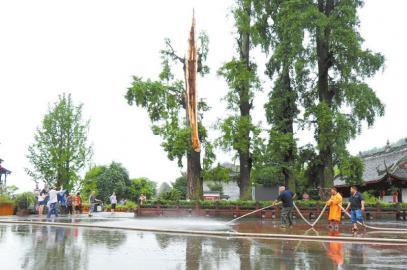 ����ǧ���������׻�����ն������������������ͼ��