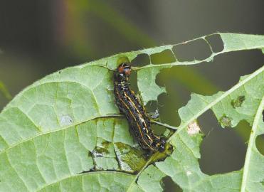 ������ë�����־��������񲻸һؼҶ����ɹ�ҹ