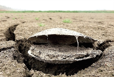 河南登封纸坊水库几近干涸水库库底裸露(图)