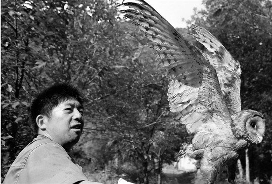 �㽭������ζ��������������ӥ�˺÷ŷɣ�ͼ��