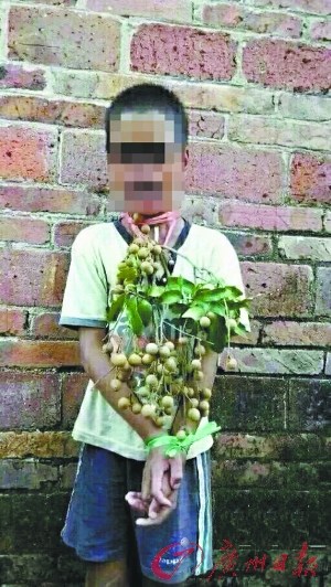 ������ͯ͵�����۱�ץ���������ʾ�ڣ�ͼ��