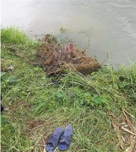 12岁男孩滑落江中第一位跳下救援者失踪(图)