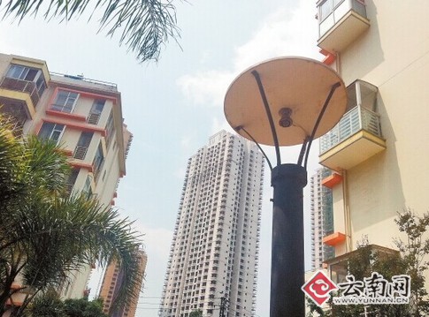 �ܺ���С������Ұս����ǹ��30��յ���۵ƣ�ͼ��