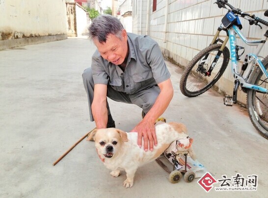 ������̱������Ϊ�����ƻ��ֳ�֧����·��ͼ��