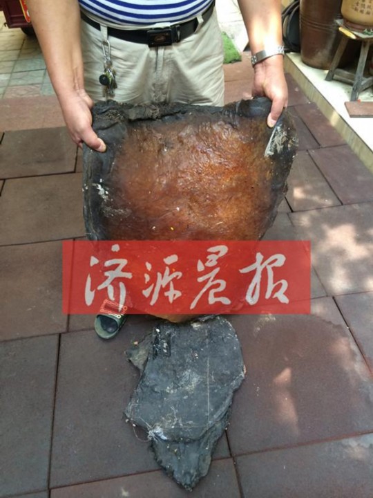 �����ڵ������������ơ�̫�ꡱ�е��ԷŰ��겻��