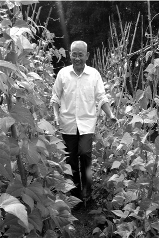 81���ε�Ա�Ӹɲ�����ũ��ƾ������������