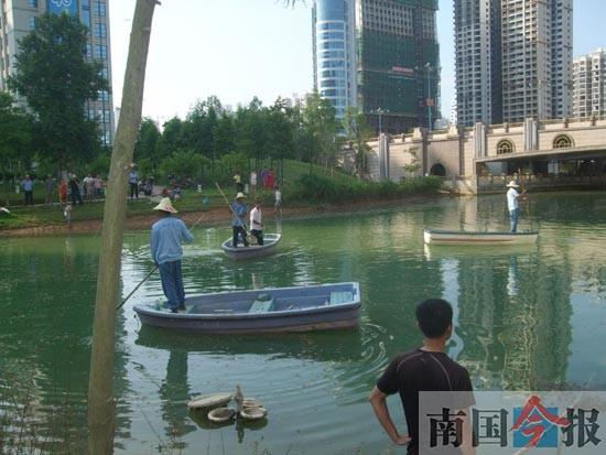 ��������ˮ�ǺӶκö��㸡ͷ���������㣨ͼ��