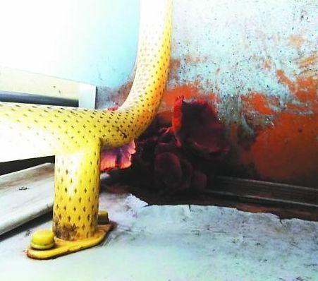 �������ڳ�Ģ��ר�ң����������������£�ͼ��