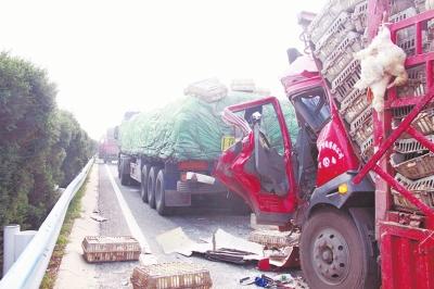 ��������������15������ײ1������12�����ˣ�ͼ��