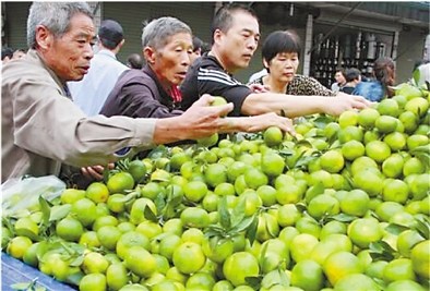 浙江富阳桔子义卖筹款4万余用于母亲捐肾救子(图)