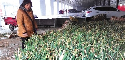 48岁农妇遇难事60万斤大葱因雨雪天气滞销(图)