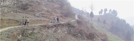 13����Ů����������40��׳��Ϊ��1������9�Σ�ͼ��