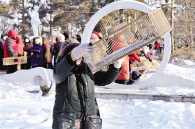 ������С��ɲ���ר�ң�����ѧ��������ɱ����ͼ��