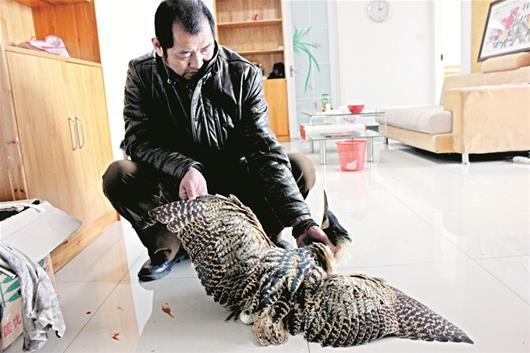 ���Ӹ����ϼ����˹����������ϵ�������ͼ��