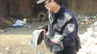 Ӥ����������1�챻����������ȫ�����÷��ϣ�ͼ��