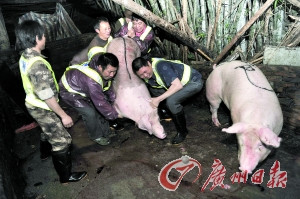 ���ݴ��4��˽�����ѵ㣺200����עˮ���250��