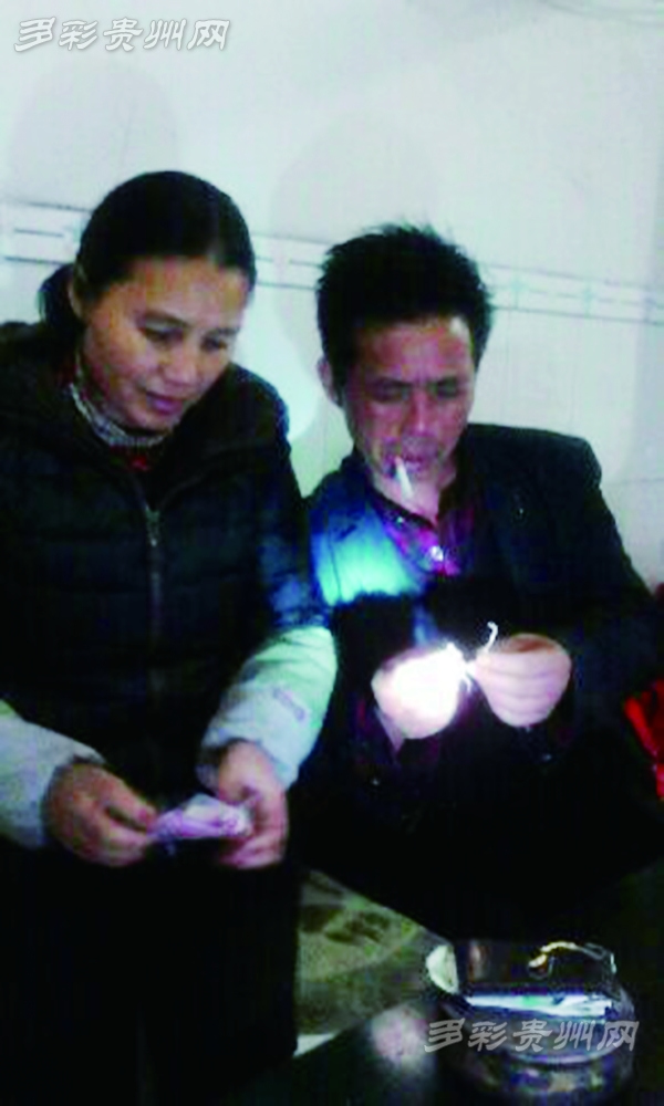 福泉村民挖野生虫草续:相关部门将挖宝人请下山