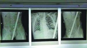 Ӵ10׸̨׹롰ֽ2׸ֽ