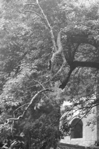 ��������ɽǧ���÷���οͶ�֦ϵŷ����������