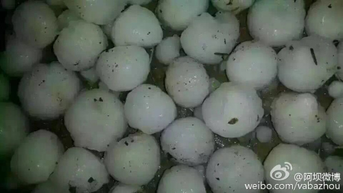 �Ĵ����������������Ϯ���������ش�30��