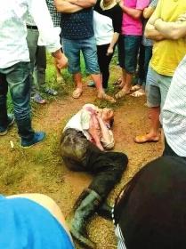 ����ΧŹ�����ӳ��ǡ��˷���һ���߹Ǳ����