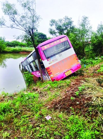 司机突感不适中巴冲向鱼塘15名乘客均未受伤