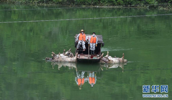 ����1.7��ͷ�����ѽ���7�첿��Я�ھ����Ԯ��ͼ��