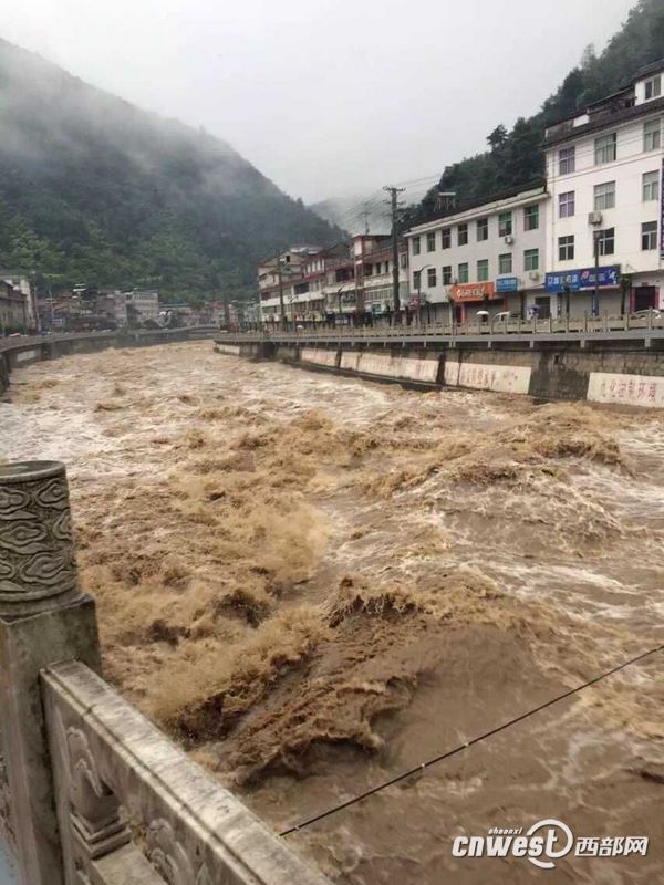 ��������11��������ֱ�������������Ӧ����Ӧ