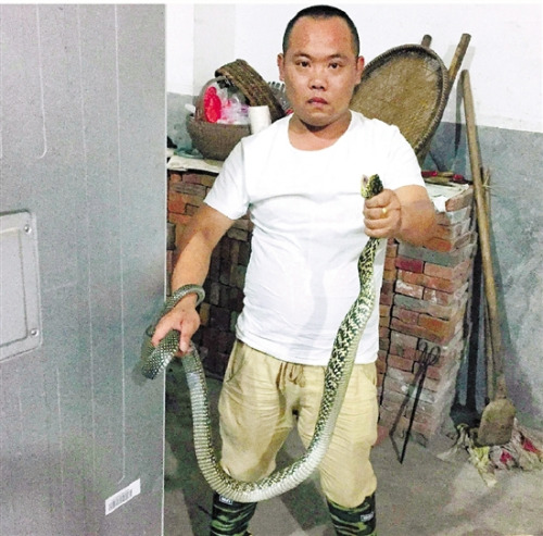 ����̫�ȴ����������ұ������4��Χ�£�ͼ��