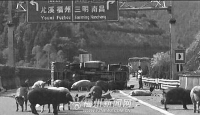 ������������40��ͷ���ܵ����ٹ�·���Ҵܣ�ͼ��