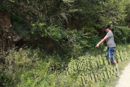 福建泉州一农妇被马蜂狂追蜇死全身上百处蜇伤