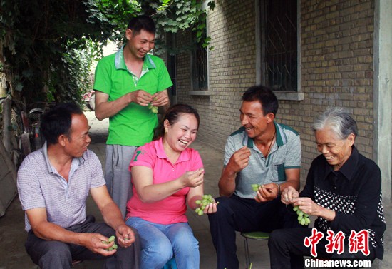 �Ͻ���������Ӣ��ά������ֵܵ�ʮ������