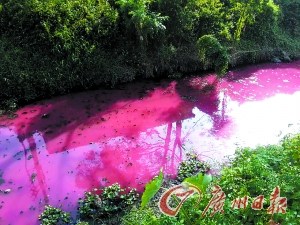 广东惠州一非法宝石作坊偷排洗石废水小河变猩红色