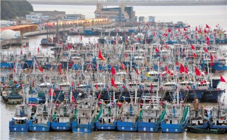 宁波舟山等地万艘渔船避“杜鹃”(图)