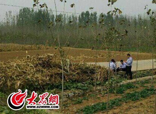 官方回应“平邑警察路边打牌”:4名协警被辞退