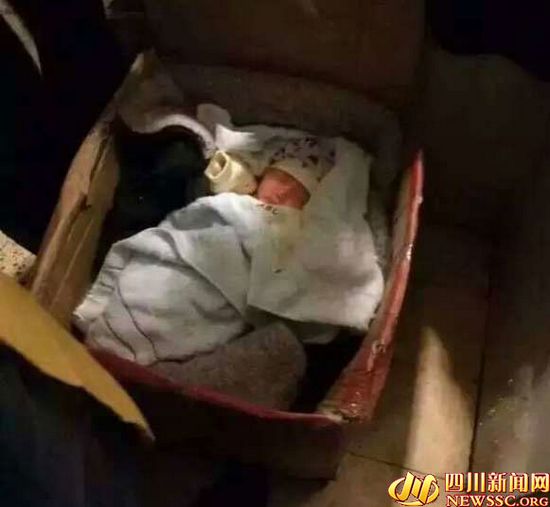 四川一公厕现“纸箱宝宝”网友谴责弃婴父母