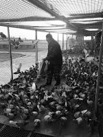 �����Ÿ뾺�裺��ʤ��̭���ܹ鳲�����ˡ�������