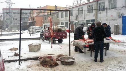 �̷�Сѧ�ſ���ɱ������˺����̺�����ج�Σ�ͼ��