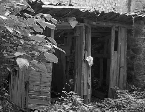 女子结婚20多年仅回农村婆家一次见厕所连夜逃离