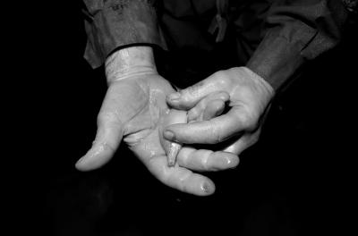 广西发现深度超过400米天坑多种物种不知名(图)